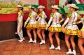 P_Party2011   034